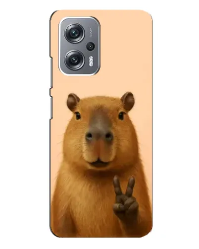 Чехол для Xiaomi Redmi Note 12 Pro (5g) с картинкой «Капибара виктория»