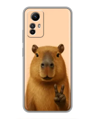 Чехол для Xiaomi Redmi Note 12s с картинкой «Капибара виктория»