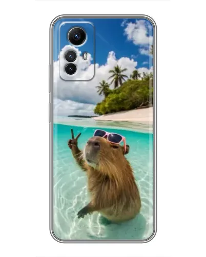 Чехол для Xiaomi Redmi Note 12s с картинкой «Капибара на море»
