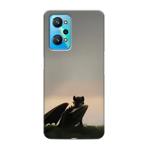 Чохол як приборкати дракона на Realme GT Neo 2 (Беззубик)