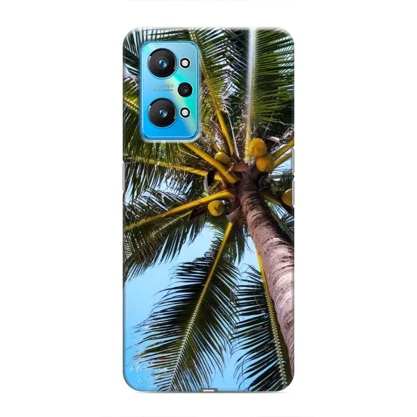 Чохол з принтом «Пальма» для Realme GT Neo 2