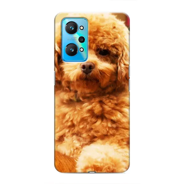 Чехол с принтом «Щенок Бишон» для Realme GT Neo 2