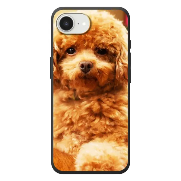Чохол з принтом «Цуценя Бішон» для iPhone 17e