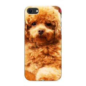 Чехлы с собаками для iPhone 8 (VPrint) (Щенок Бишон)