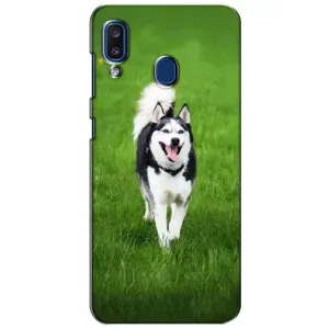 Чехол с Хаски для Samsung Galaxy a20 2019 (A205F) - (AlphaPrint) (Радостный Хаски)