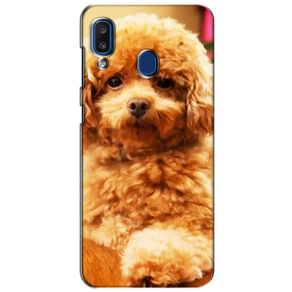 Чохол з принтом «Цуценя Бішон» для Samsung Galaxy a20 2019 (A205F)