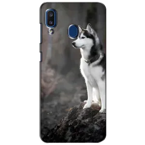 Чехол с Хаски для Samsung Galaxy a20 2019 (A205F) - (AlphaPrint) (Верный пес)