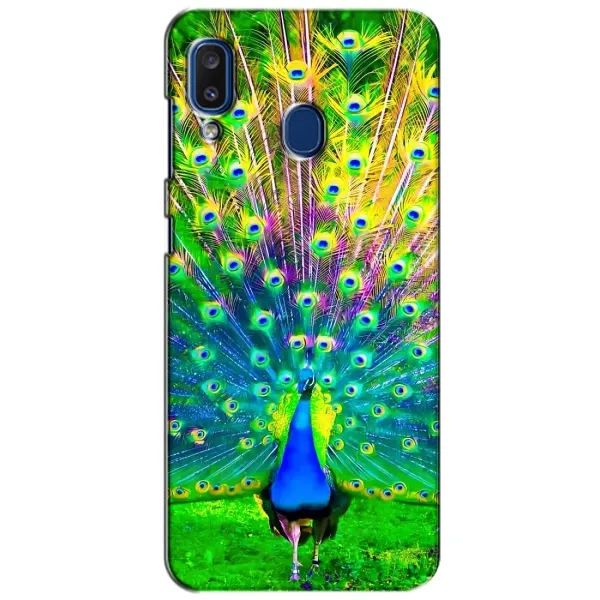 Чохол з принтом «Яскравий Павлин» для Samsung Galaxy a20 2019 (A205F)