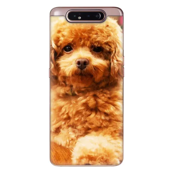 Чохол з принтом «Цуценя Бішон» для Samsung Galaxy a80 2019 ( A805F ) Чохол з принтом «Цуценя Бішон» для Samsung Galaxy a80 2019 ( A805F )
