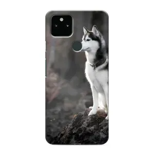 Чохол з Хаскі Google Pixel 4a 5G - (AlphaPrint) (Вірний собака)