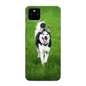 Чохол з Хаскі Google Pixel 5 - (AlphaPrint) (Радісний Хаскі)