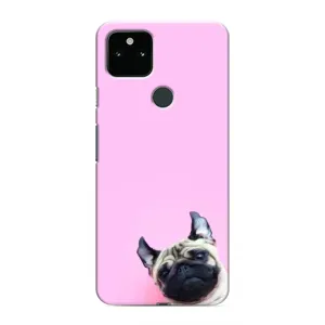 Чехлы с собаками для Google Pixel 5a 5G (VPrint) (Смешная собака)