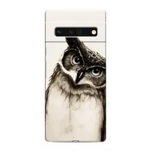 Чехол с птицами на Google Pixel 6 Pro (VPrint) (Сова)