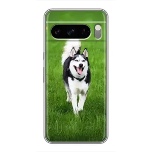 Чохол з Хаскі Google Pixel 8 Pro - (AlphaPrint) (Радісний Хаскі)
