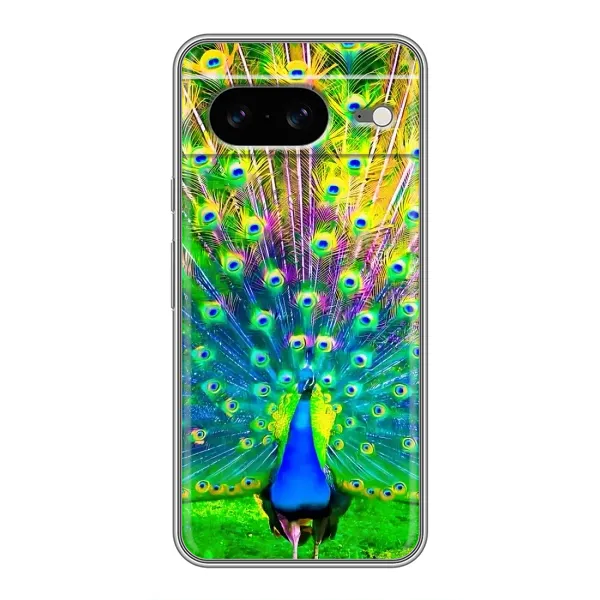 Чохол з принтом «Яскравий Павлин» для Google Pixel 8 Чохол з принтом «Яскравий Павлин» для Google Pixel 8