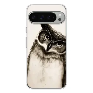 Чохол з пташками на Google Pixel 9 Pro XL (VPrint) (Сова)