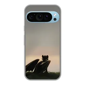 Чохол з принтом «Беззубик» для Google Pixel 9 Pro