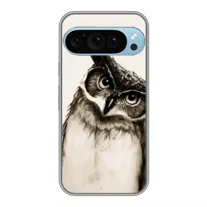 Чохол з пташками на Google Pixel 9 Pro (VPrint) (Сова)