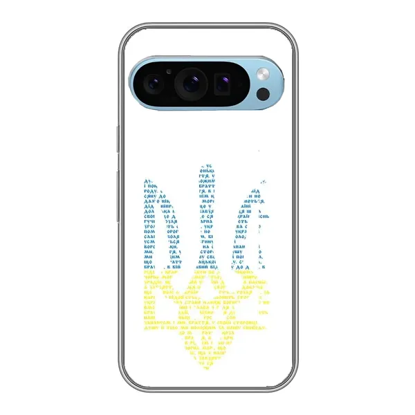 Чехол с принтом «Герб из букв» для Google Pixel 9