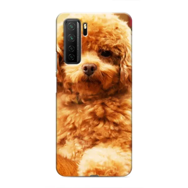 Чохол з принтом «Цуценя Бішон» для Honor 30s