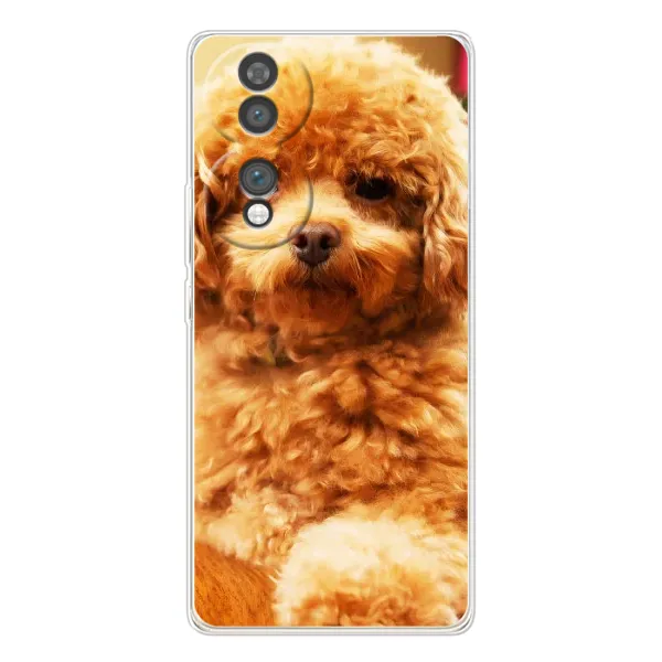 Чехол с принтом «Щенок Бишон» для Huawei Honor 70