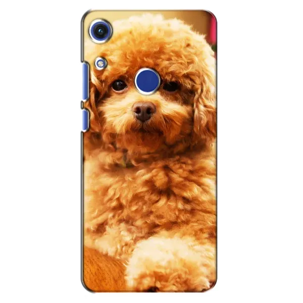 Чехол с принтом «Щенок Бишон» для Huawei Honor 8A Чехол с принтом «Щенок Бишон» для Huawei Honor 8A