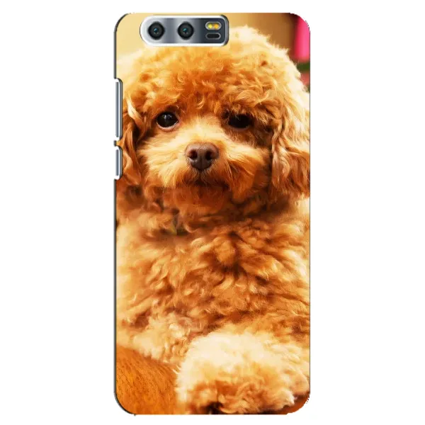 Чехол с принтом «Щенок Бишон» для Huawei Honor 9 (Glory 9, STF)