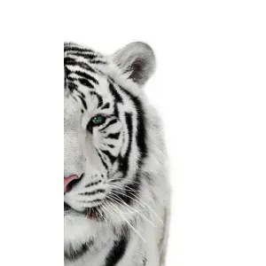 Чехлы с картинками животных Huawei Honor Magic 5 Lite 5G (Белый Тигр)