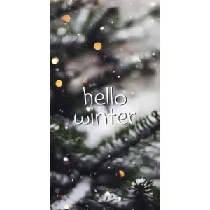 Новогодние, Праздничные Чехлы для Huawei Honor Magic 5 Lite 5G - 2024 год (Hello winter)