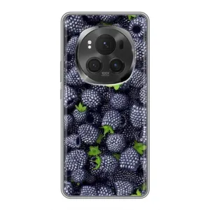 Чехлы с Фруктами для Huawei Honor Magic 6 Pro (VPrint) (Ежевика)
