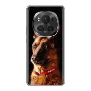 Чехлы с картинками животных Huawei Honor Magic 6 Pro (Овчарка)