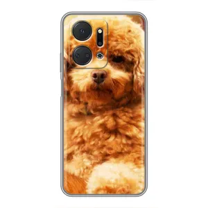 Чохли з собаками для Huawei Honor X7a (VPrint) (Цуценя Бішон)