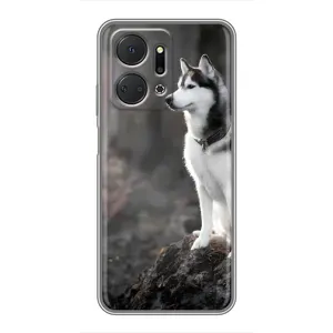 Чохол з Хаскі Huawei Honor X7a - (AlphaPrint) (Вірний собака)
