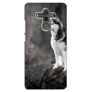 Чехол с Хаски для Huawei Mate 10 - (AlphaPrint) (Верный пес)