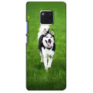 Чехол с Хаски для Huawei Mate 20 Pro, LYa-l09, LYA-L29 - (AlphaPrint) (Радостный Хаски)