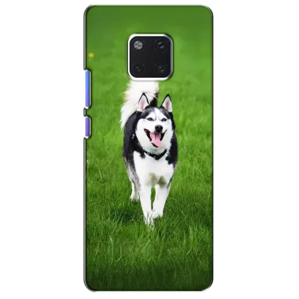 Чехол с принтом «Радостный Хаски» для Huawei Mate 20 Pro (LYA-L09, LYA-L29) Чехол с принтом «Радостный Хаски» для Huawei Mate 20 Pro (LYA-L09, LYA-L29)