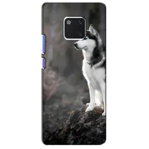 Чехол с Хаски для Huawei Mate 20 Pro, LYa-l09, LYA-L29 - (AlphaPrint) (Верный пес)