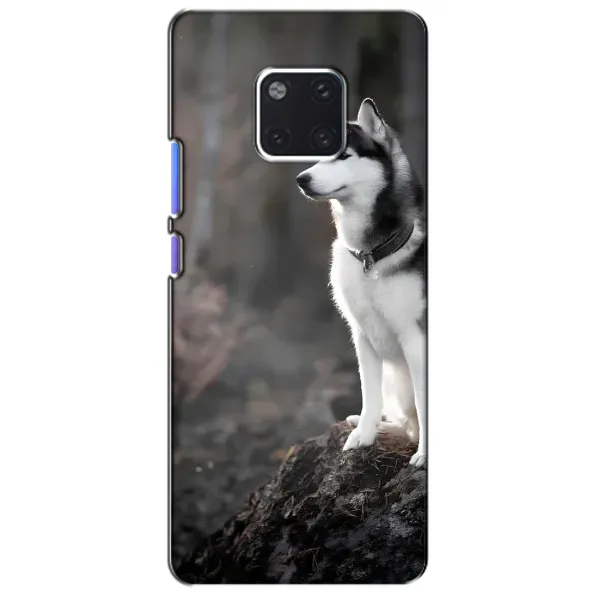 Чехол с принтом «Верный пес» для Huawei Mate 20 Pro (LYA-L09, LYA-L29) Чехол с принтом «Верный пес» для Huawei Mate 20 Pro (LYA-L09, LYA-L29)