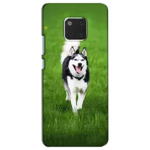 Чохол з Хаскі Huawei Mate 20, HMA-L09, HMA-L29 - (AlphaPrint) (Радісний Хаскі)