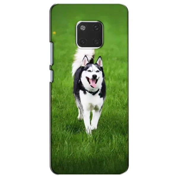Чохол з принтом «Радісний Хаскі» для Huawei Mate 20 (HMA-L09, HMA-L29) Чохол з принтом «Радісний Хаскі» для Huawei Mate 20 (HMA-L09, HMA-L29)