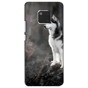 Чохол з Хаскі Huawei Mate 20, HMA-L09, HMA-L29 - (AlphaPrint) (Вірний собака)
