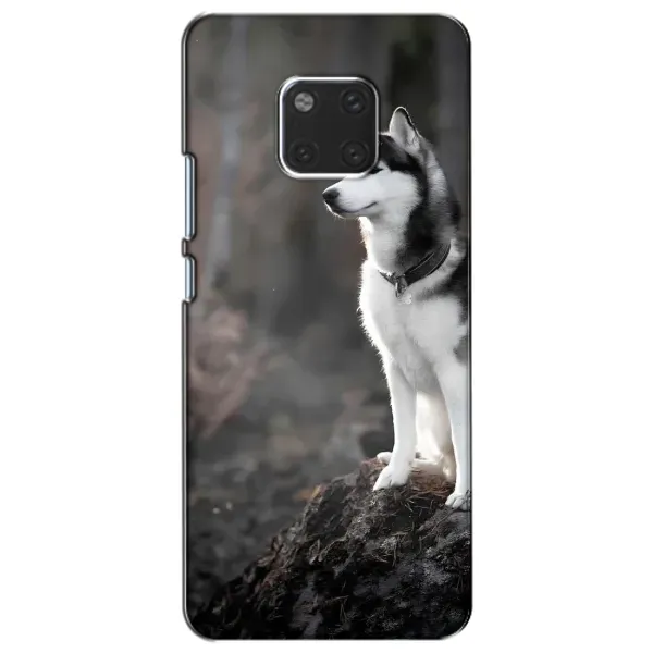 Чохол з принтом «Вірний собака» для Huawei Mate 20 (HMA-L09, HMA-L29) Чохол з принтом «Вірний собака» для Huawei Mate 20 (HMA-L09, HMA-L29)