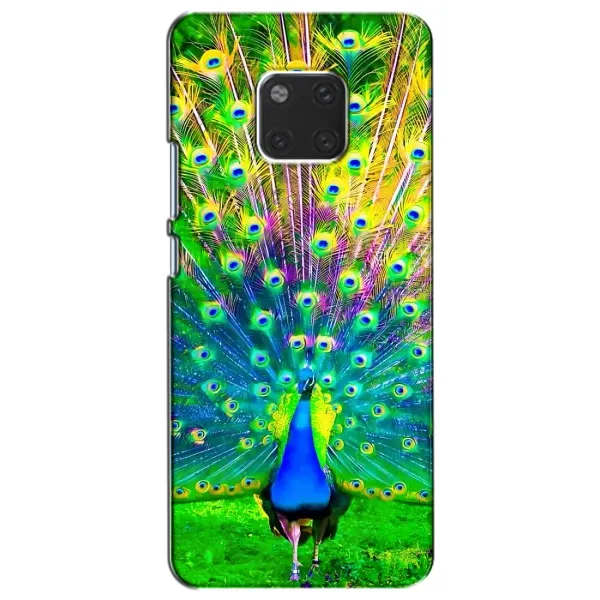 Чохол з принтом «Яскравий Павлин» для Huawei Mate 20 (HMA-L09, HMA-L29)