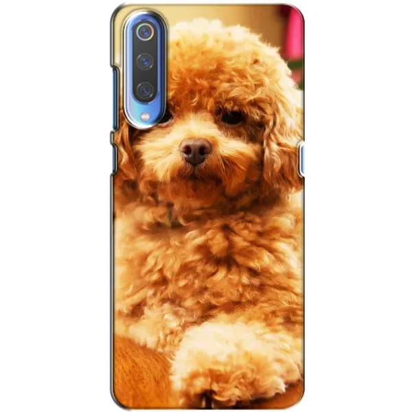 Чехол с принтом «Щенок Бишон» для Huawei P Smart 2020 Чехол с принтом «Щенок Бишон» для Huawei P Smart 2020