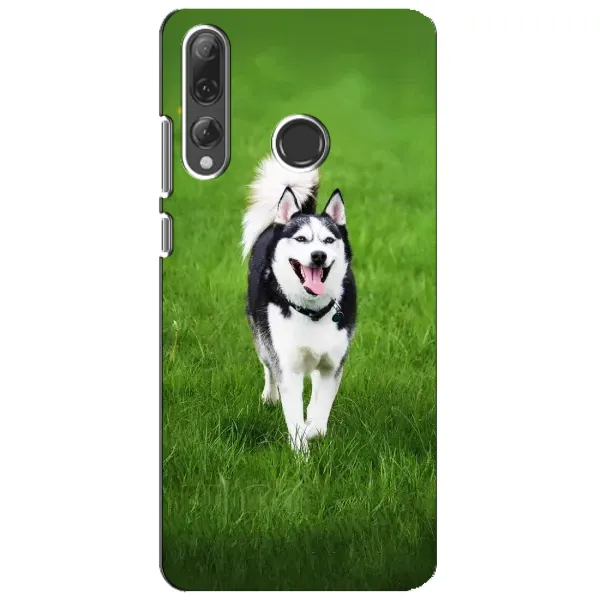 Чехол с принтом «Радостный Хаски» для Huawei P Smart Plus 2019
