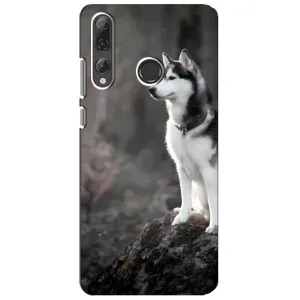 Чехол с Хаски для Huawei P Smart Plus 2019 - (AlphaPrint) (Верный пес)