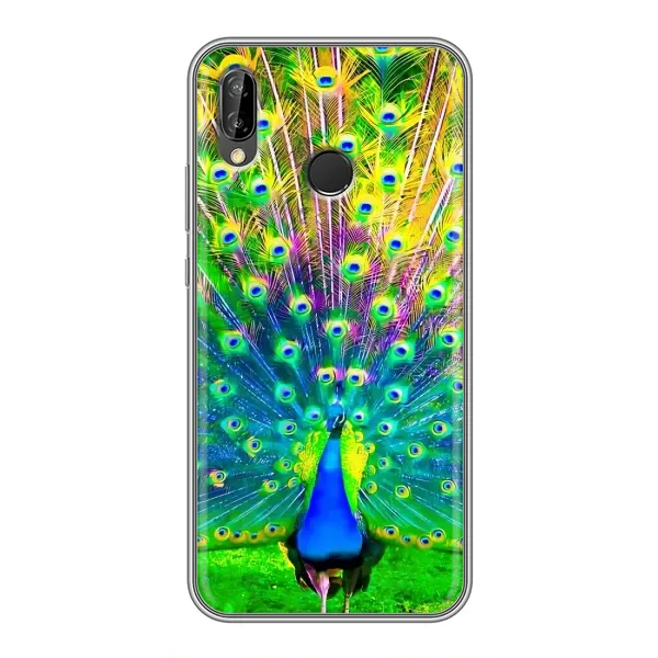 Чехол с принтом «Яркий Павлин» для Huawei P Smart Plus (Nova 3i, INE-LX1) Чехол с принтом «Яркий Павлин» для Huawei P Smart Plus (Nova 3i, INE-LX1)