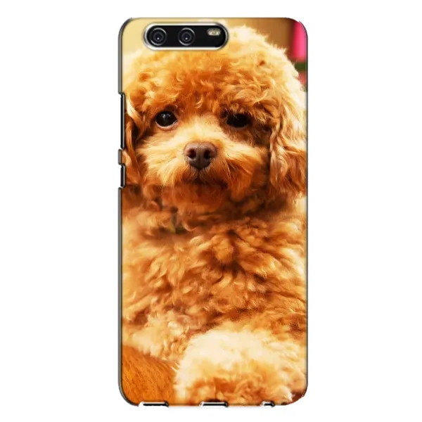 Чохол з принтом «Цуценя Бішон» для Huawei P10 Plus (VKY)