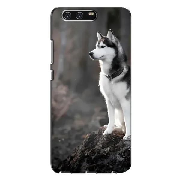Чехол с принтом «Верный пес» для Huawei P10 Plus (VKY)