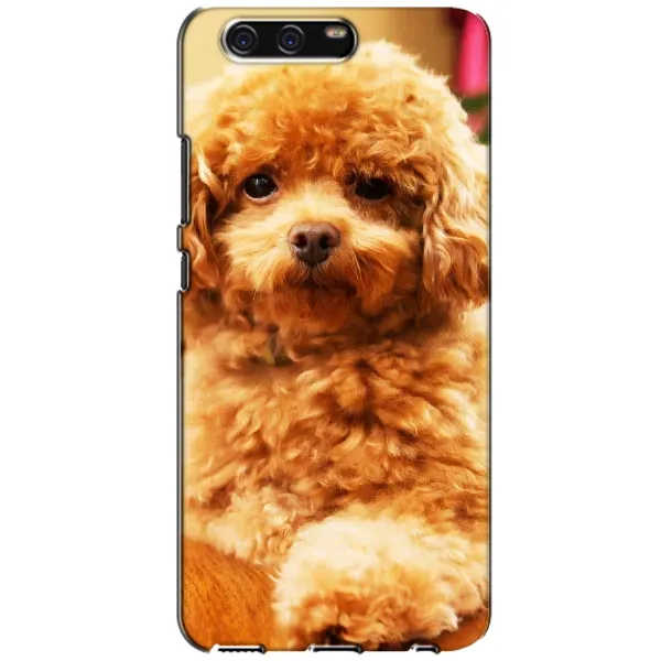 Чехол с принтом «Щенок Бишон» для Huawei P10 (VTR)